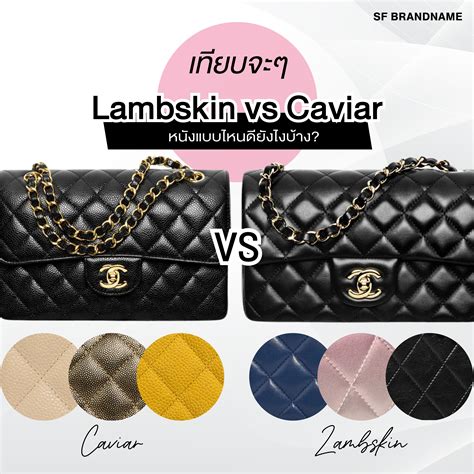 chanel leather dress|chanel lambskin vs caviar leather.